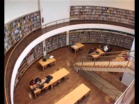 Descubra as melhores oportunidades nos leil&otilde;es de Viseu