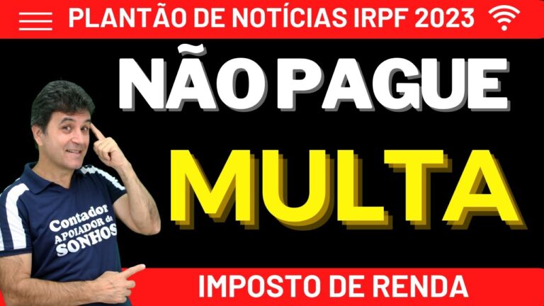 Evite multas: saiba como declarar rendimentos e ficar em dia com o leão