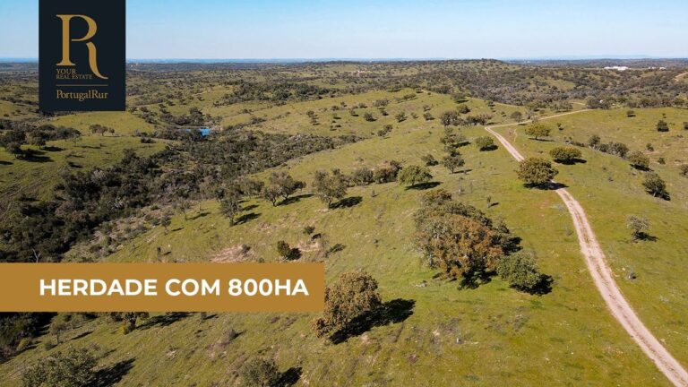 Leilão de Casas Penhoradas em Beja: Oportunidades de Investimento