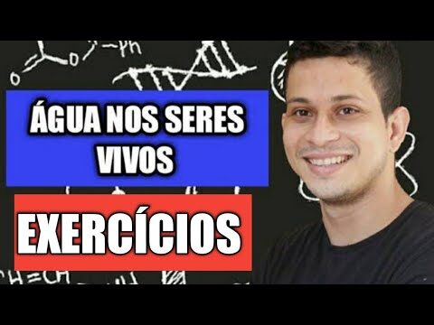 Quest&otilde;es sobre &aacute;gua para alunos do 6&ordm; ano