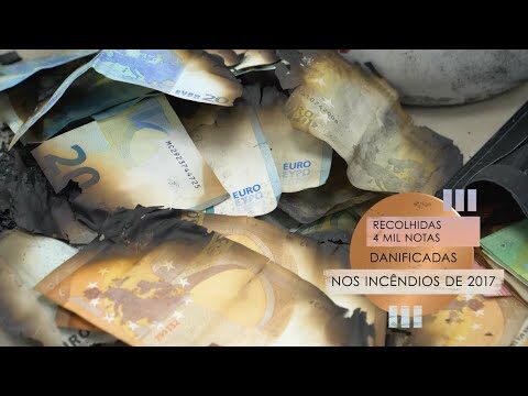Taxa de C&acirc;mbio do Banco de Portugal: Guia Completo