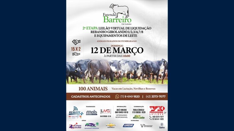 Guia Completo sobre Leil&otilde;es em Barreiro