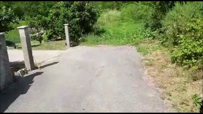 Terrenos à Venda em Viseu: Guia Completo e Atualizado