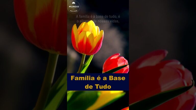 A importância da família: a base de tudo