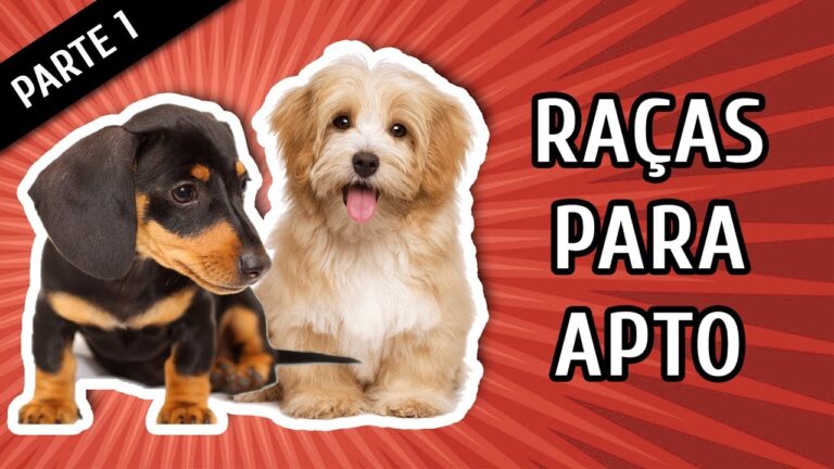 Top 5 Animais Ideais para Apartamento