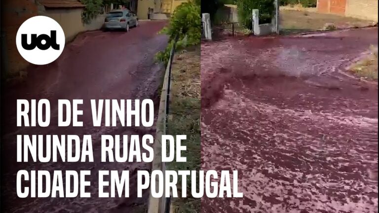 Caixa Geral de Dep&oacute;sitos em Anadia: Servi&ccedil;os Banc&aacute;rios de Excel&ecirc;ncia
