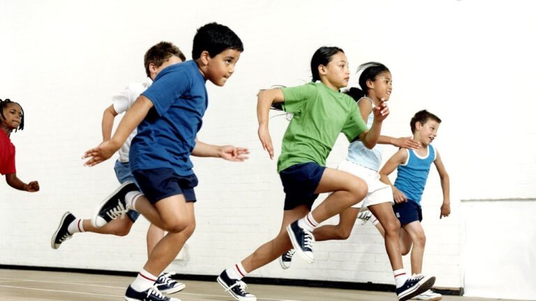 Conceito de Atividade F&iacute;sica Desportiva: Explora&ccedil;&atilde;o e Import&acirc;ncia