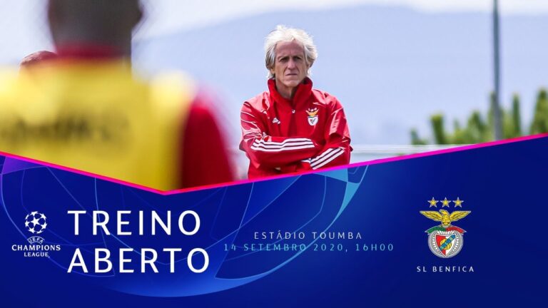 Camisola de Treino do Benfica: Conforto e Desempenho de Elite
