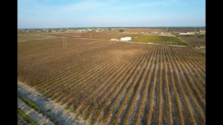 Terrenos à Venda em Setúbal: Guia de Compra e Investimento