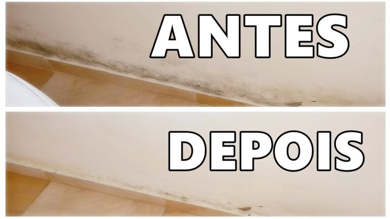 Como Limpar a Humidade da Parede de Forma Eficiente