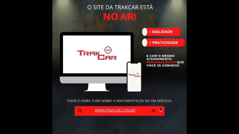 Consulta Seguro Veículo: Tudo o Que Você Precisa Saber