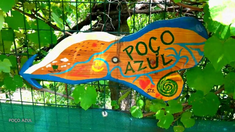 Guia do Parque de Campismo S&atilde;o Pedro do Sul