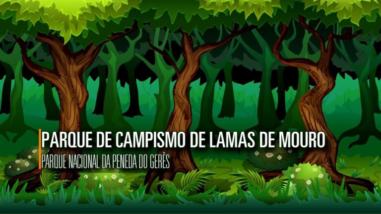 Parques de Campismo com Bungalows no Norte: Onde Relaxar na Natureza