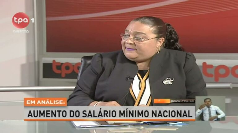 Evolu&ccedil;&atilde;o do Sal&aacute;rio M&iacute;nimo Nacional: Um Panorama Conciso