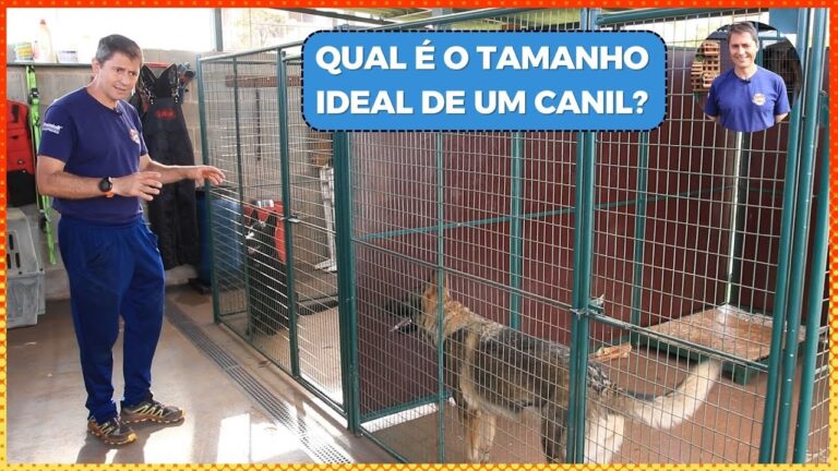 Canil para Cães de Porte Médio: O Guia Completo