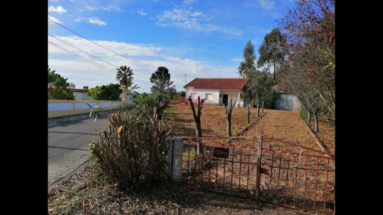 As melhores casas para comprar em Caldas da Rainha