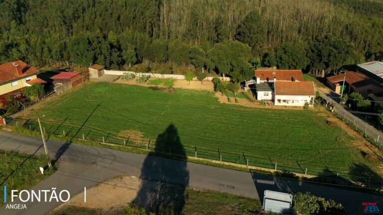 Imobili&aacute;ria em Albergaria a Velha: Guia Completo