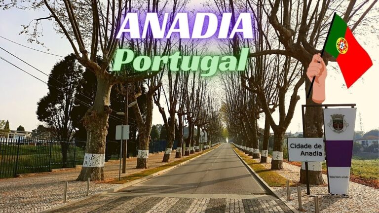 Localização de Anadia em Portugal