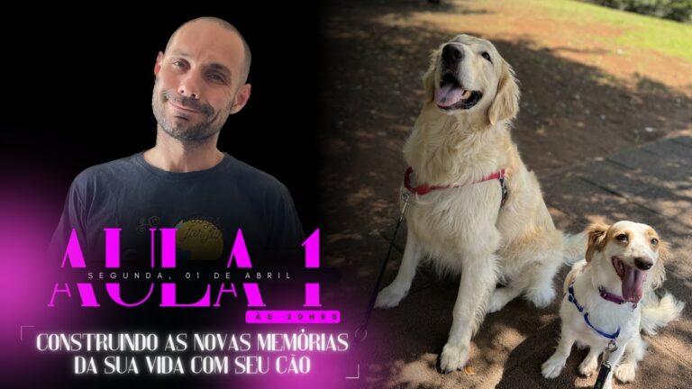 Raça de Cão: A Perfeição é Impossível de Superar
