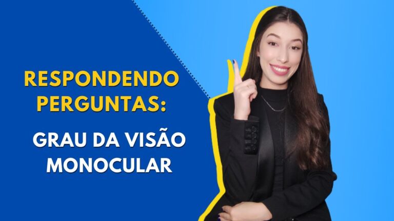 N&iacute;veis de Incapacidade Visual: Uma Vis&atilde;o Geral