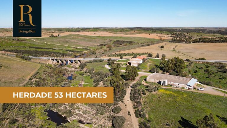 Guia de Finan&ccedil;as para Investir em Im&oacute;veis em Beja