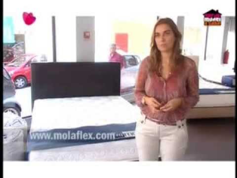 As melhores lojas para comprar colch&otilde;es Molaflex