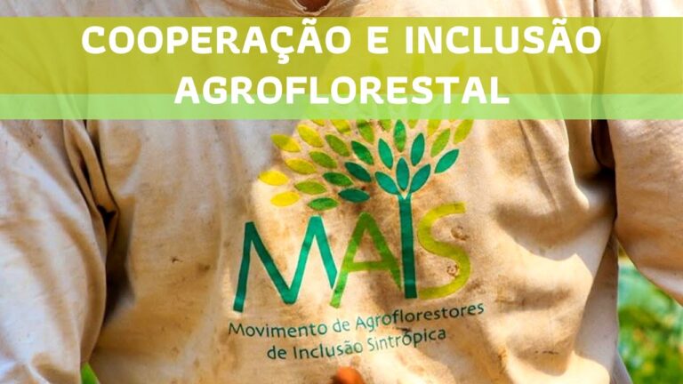 CCAM Mafra: O Futuro da Inova&ccedil;&atilde;o Financeira