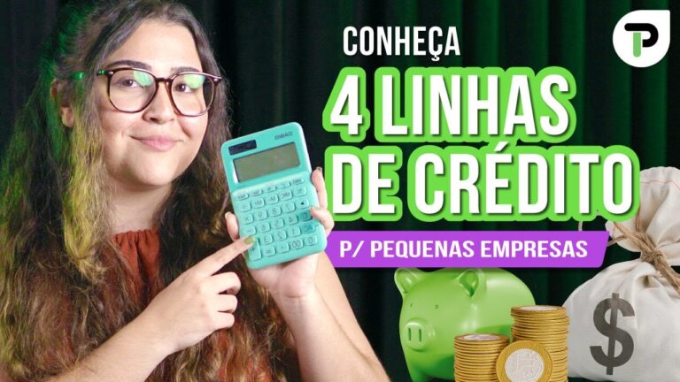 Guia Completo de Cr&eacute;dito para Empresas Iniciantes