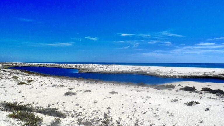 Praia do Homem Nu: Um Paraíso Naturista
