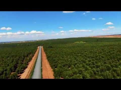 Venda de Casas Penhoradas em Vidigueira: Oportunidades Únicas