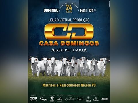 O Guia Completo dos Leilões de Sdomingos