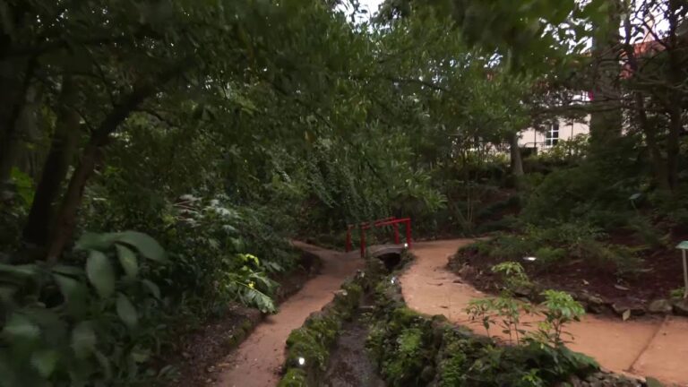Preços do Jardim Botânico de Lisboa: Guia Completo