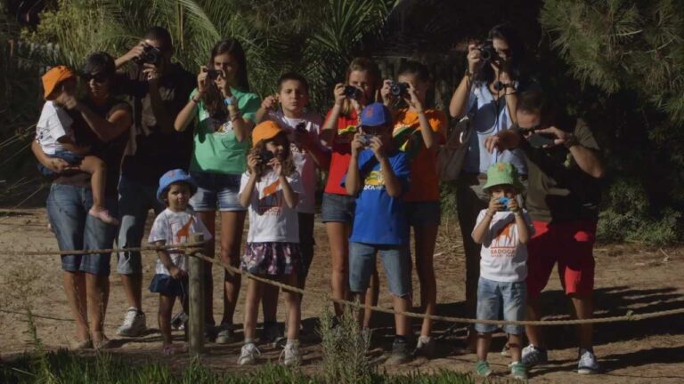 Descubra as Odisseias do Badoca Park