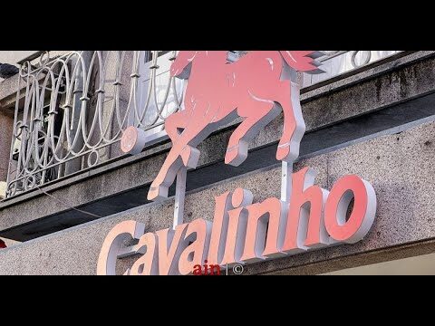 As Figuras P&uacute;blicas Portuguesas: Um Olhar Conciso